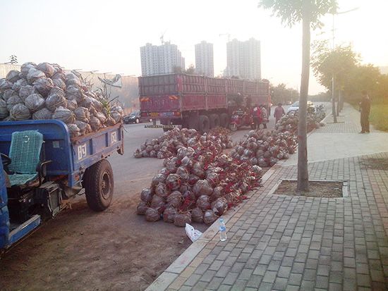 發(fā)貨現(xiàn)場(chǎng)