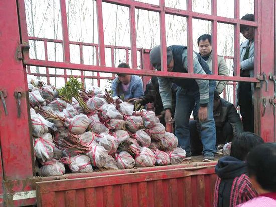 發(fā)貨現(xiàn)場