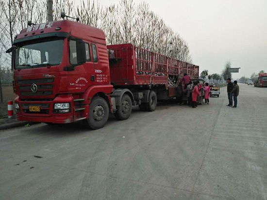 發(fā)貨現(xiàn)場